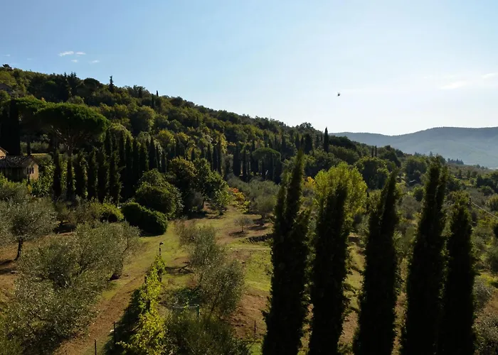 Eugenio By Interhome Cortona